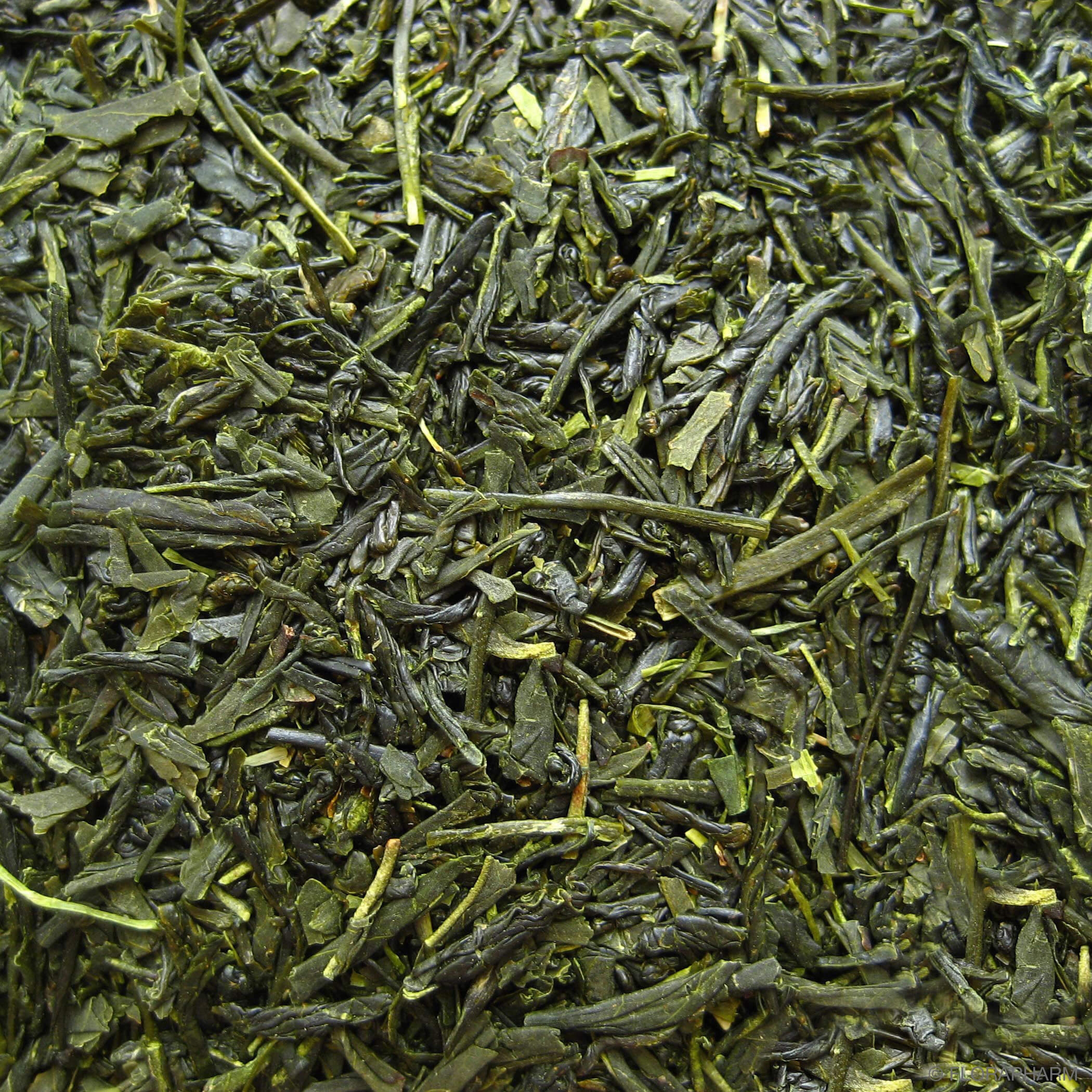 Grüntee Japan Gyokuro