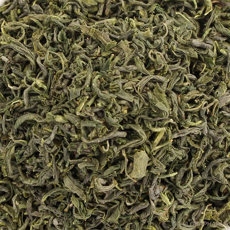Tamaryokucha Premium, Japan