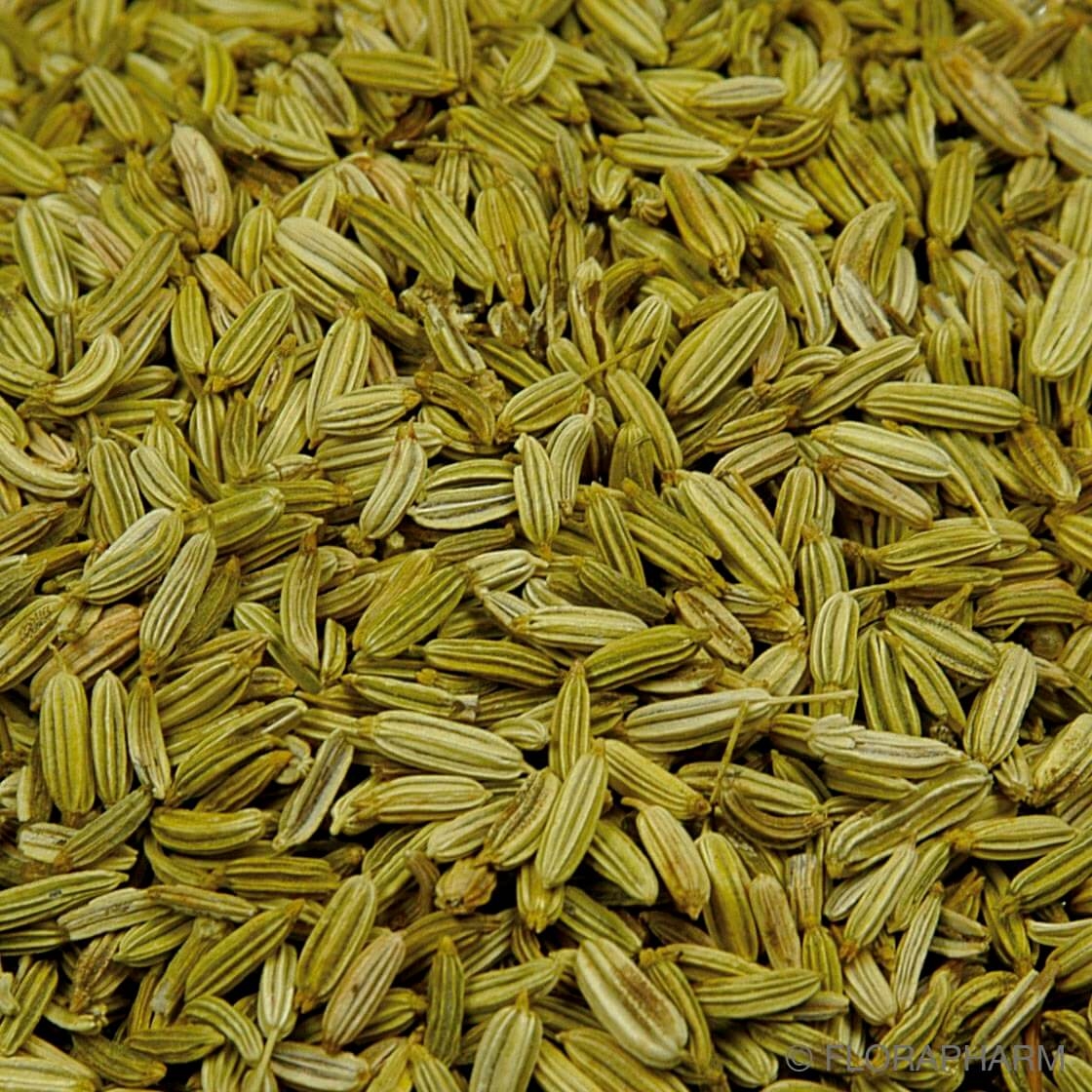 Fenchel - Fencheltee