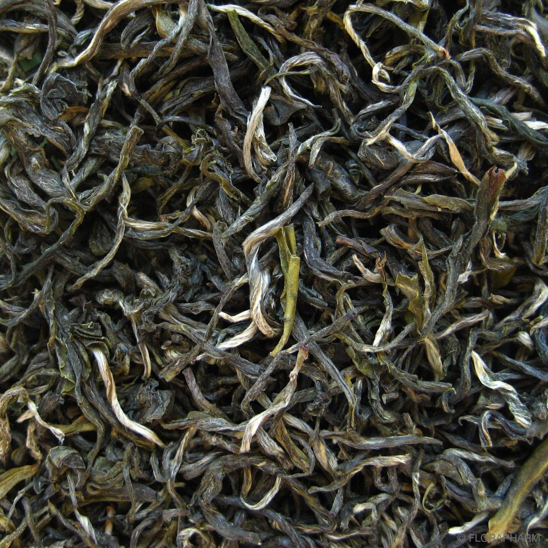 China "Pi Lo Chun"