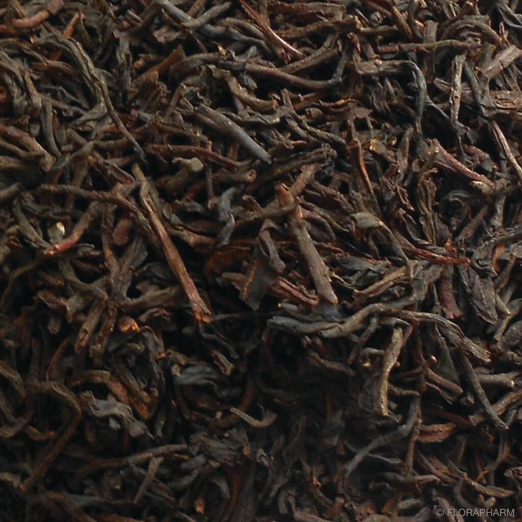 Ceylon OP "Pettiagalla"