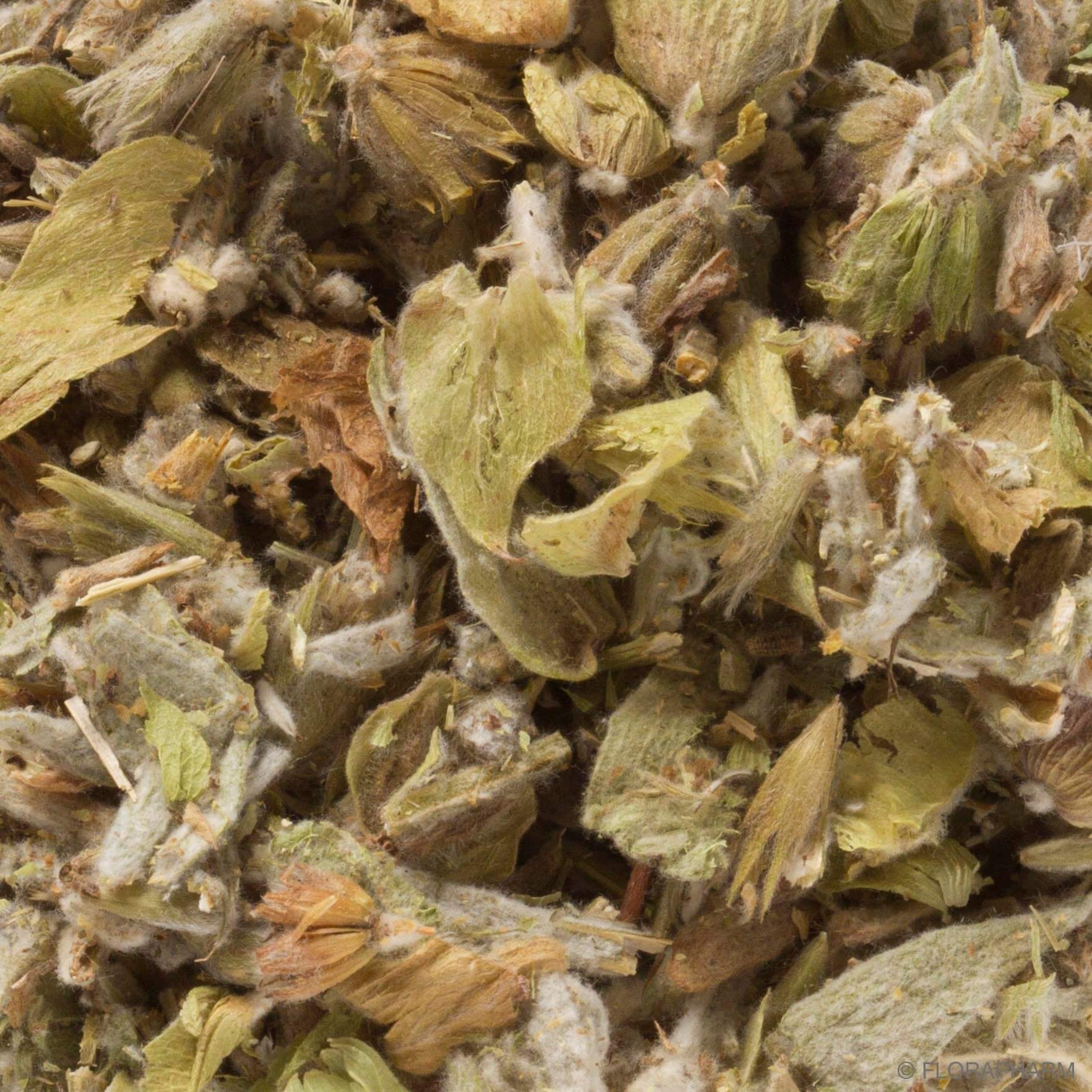 Griechischer Bergkräutertee