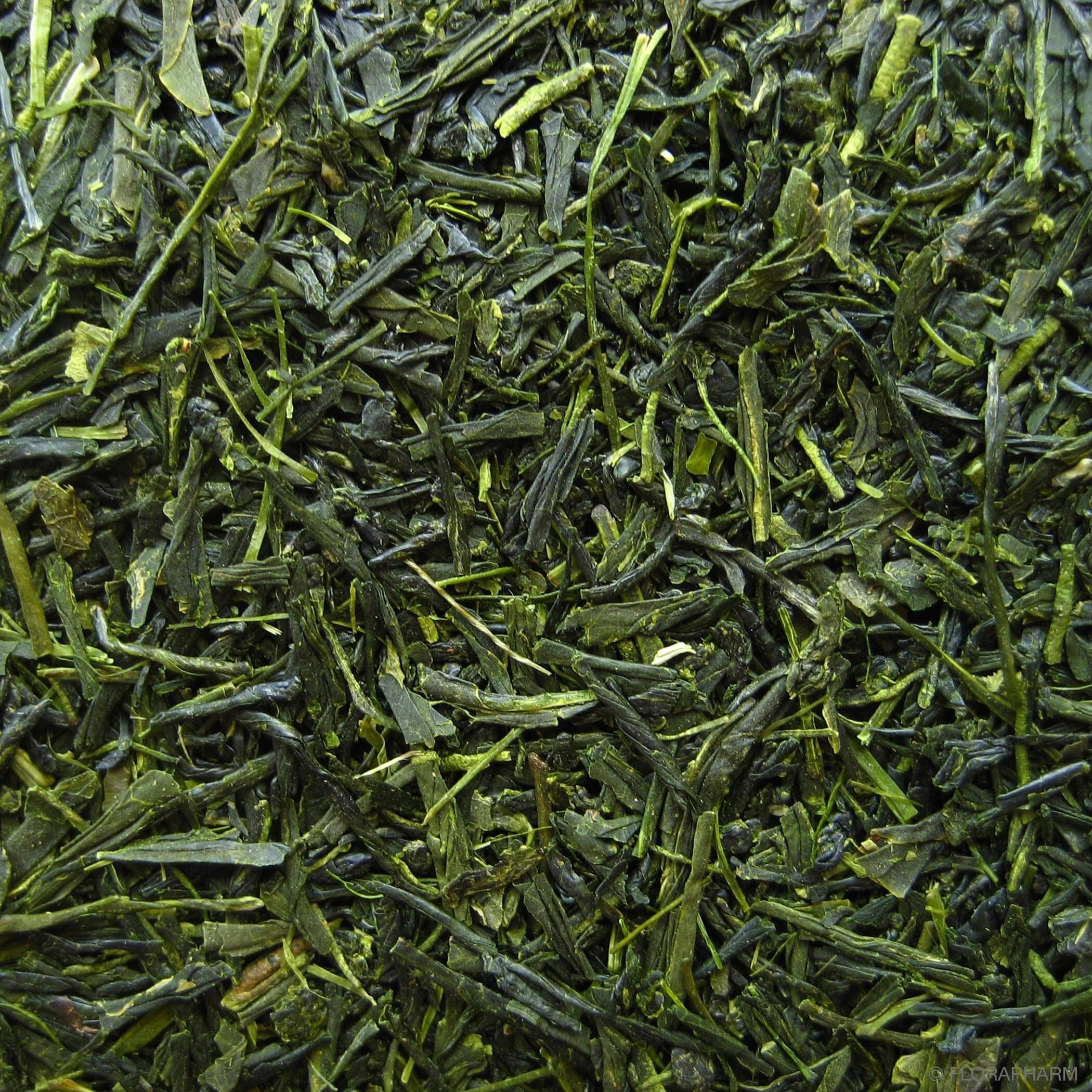 Japan Gyokuro (Tautropfen)