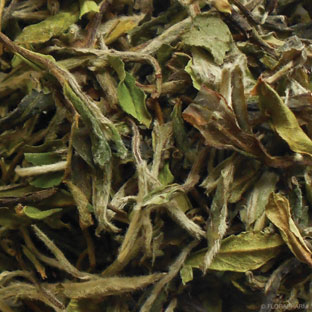 China Pai Mu Tan Superior