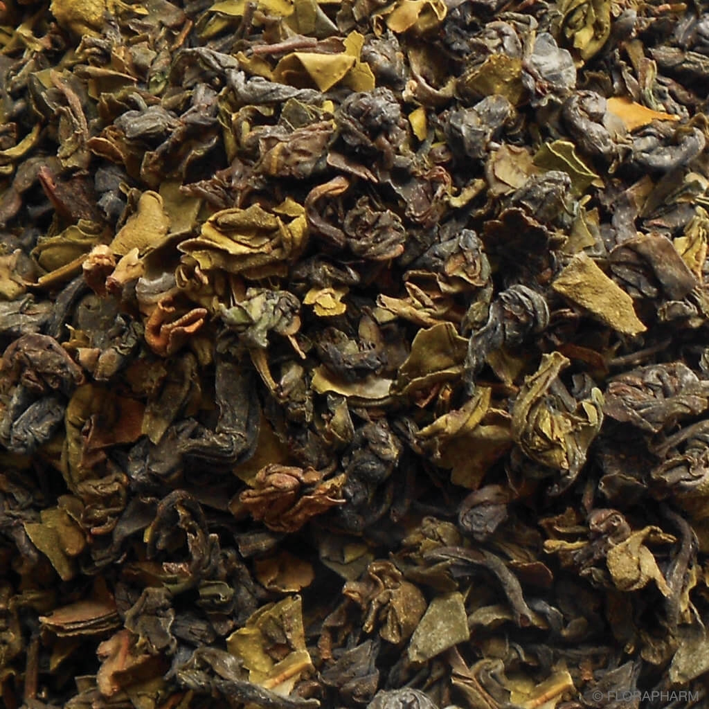 Ceylon Green "Hochland" - Grüntee