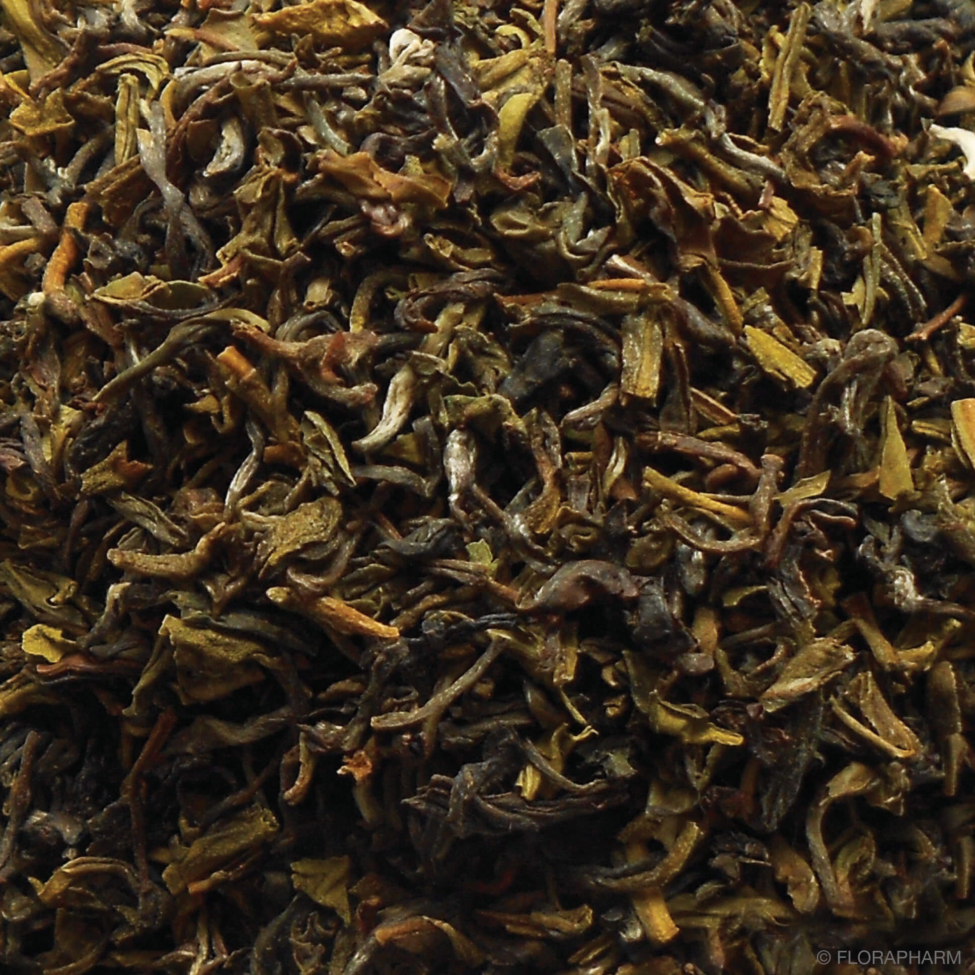 Pussimbing Darjeeling Grün
