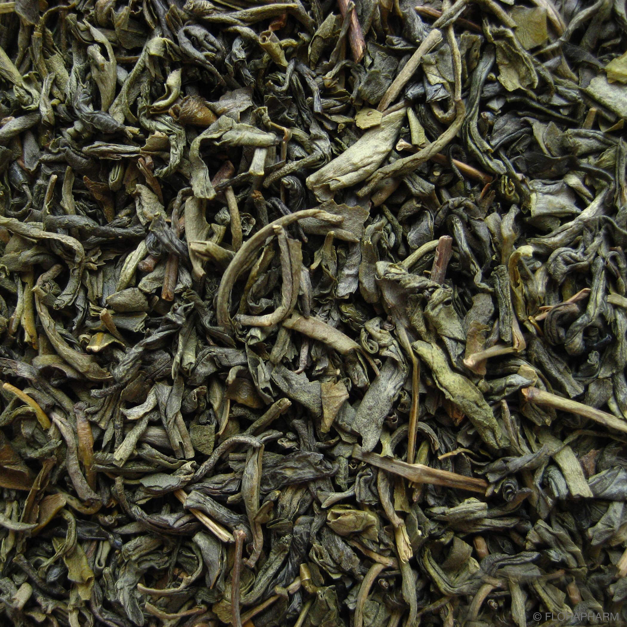 China "Chun Mee" - Grüntee