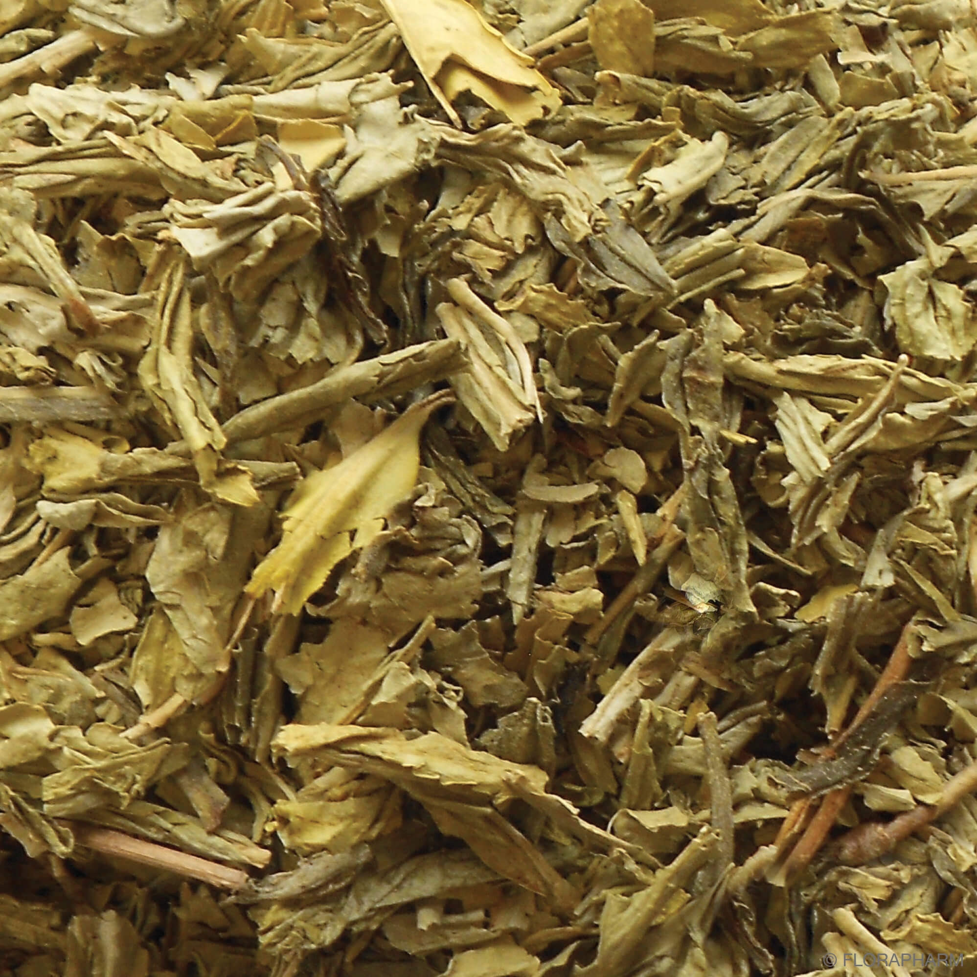 Sencha entkoffeiniert