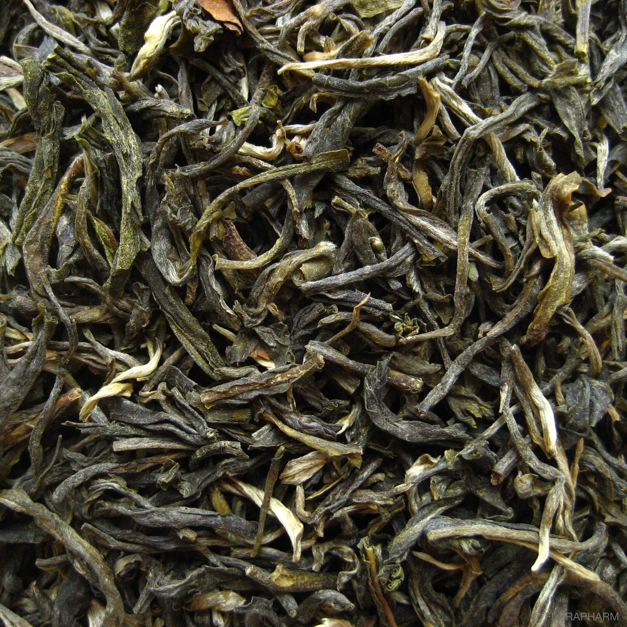 China FOP "Yunnan"