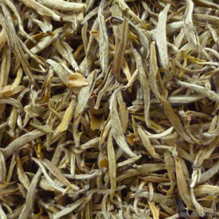 Pai Mu Tan aus China "Silvery Needle"