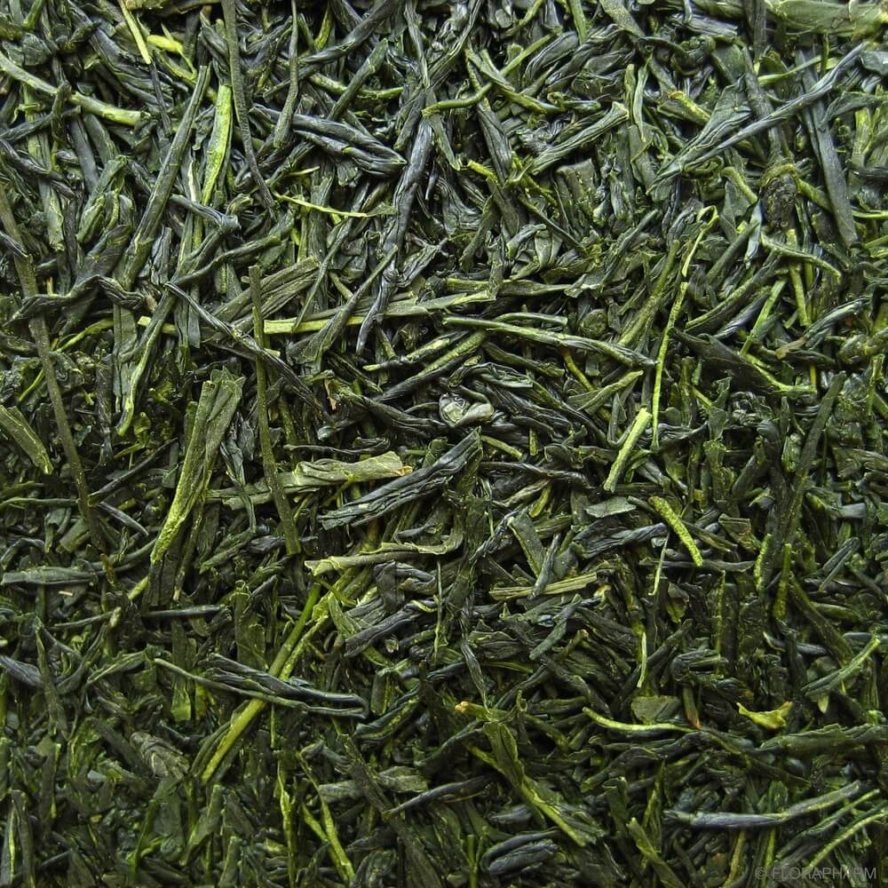 Japan Sencha Miyazaki