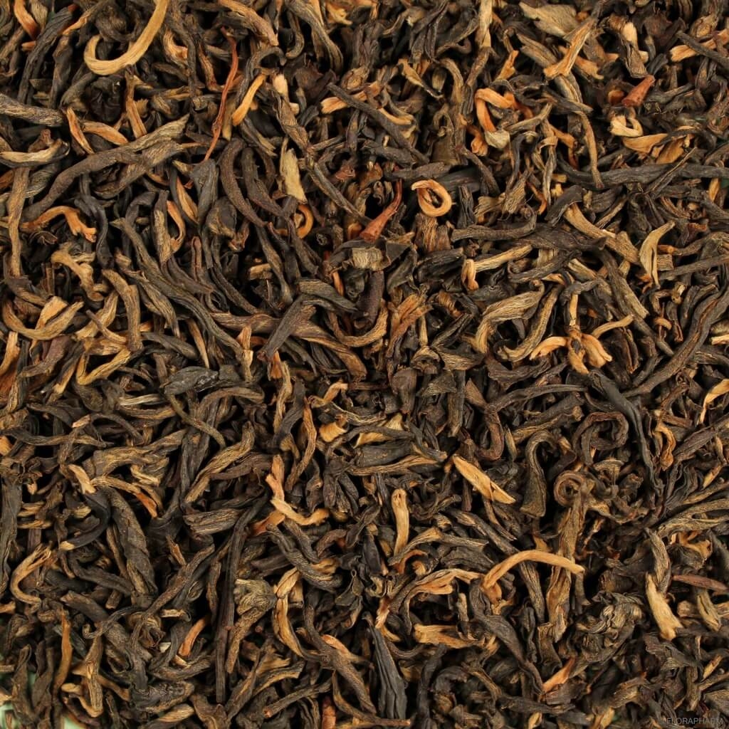 China "Golden Yunnan superior"