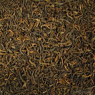 Pu Erh China "King of Pu Erh"