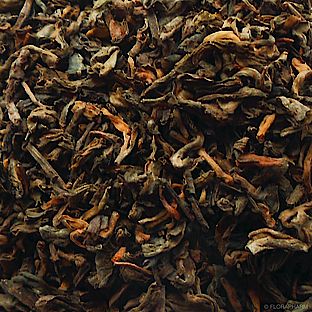Pu Erh China