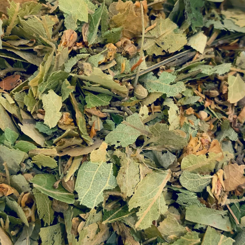 Lindenblüten 