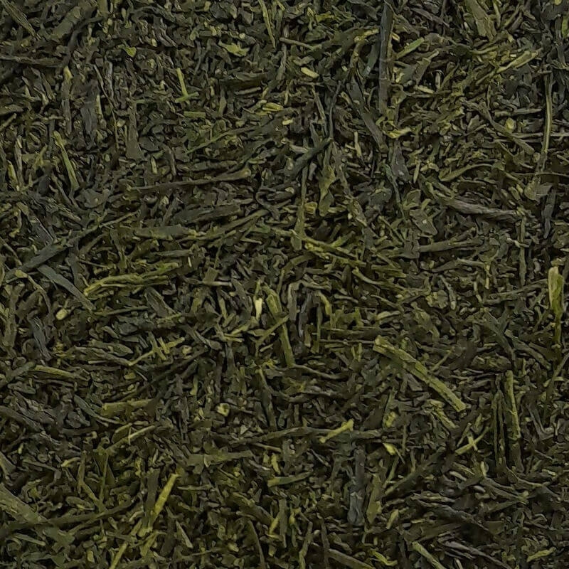Shincha SAPHIRE