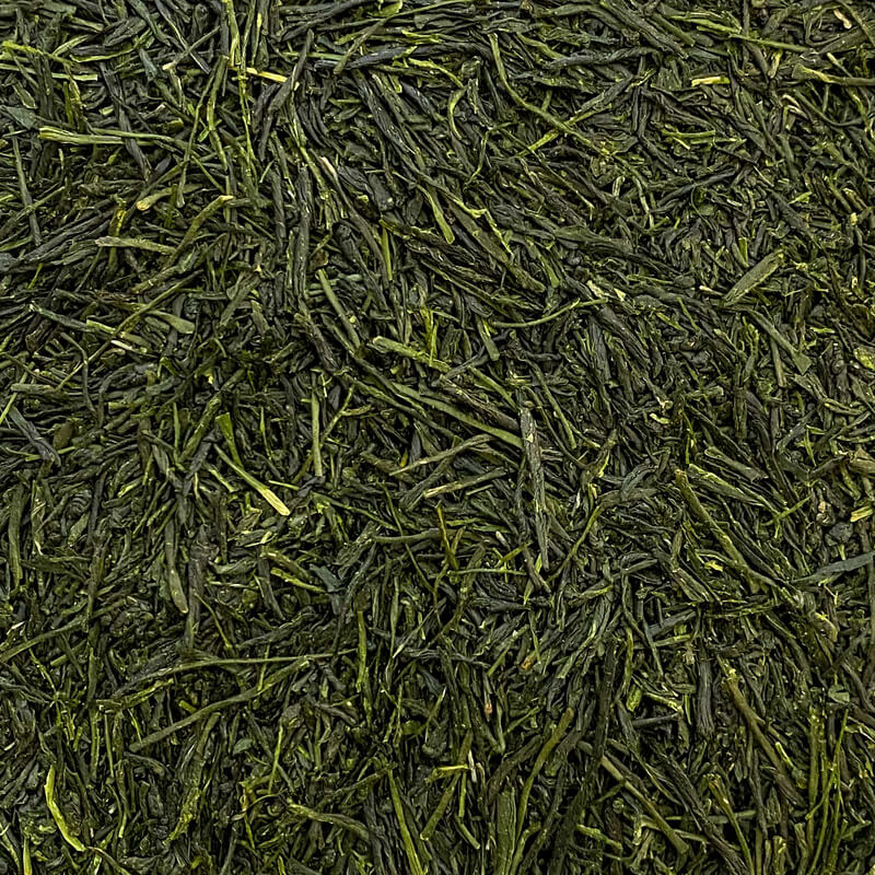Shincha DELUXE