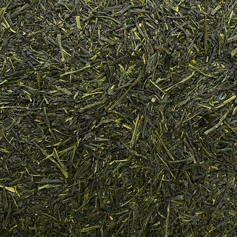 Shincha GOLD (2024)