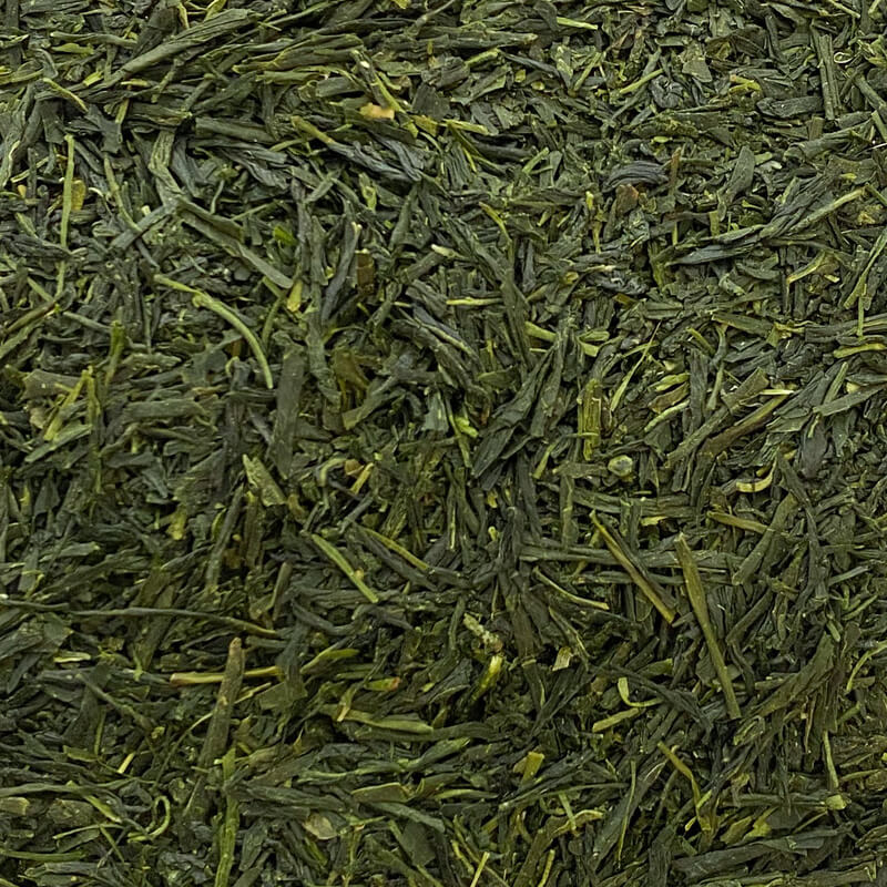 Shincha SILVER 2024