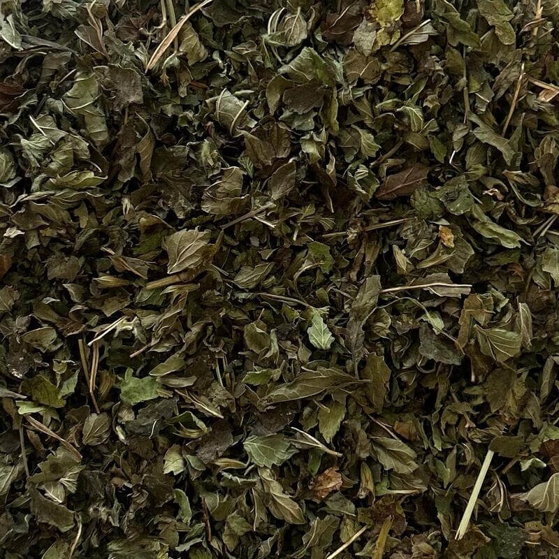 Bio Zitronenmelisse